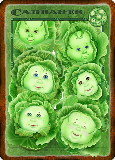 CABBAGES